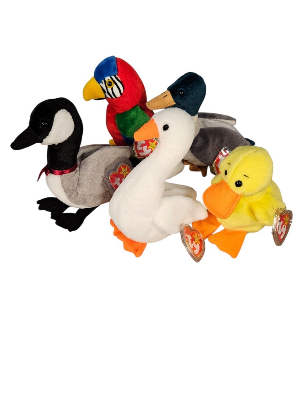 Ty Beanie Bird Bundle of 5